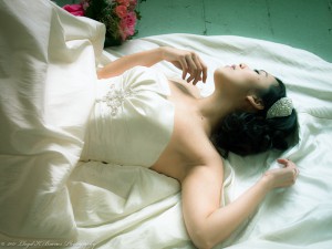 Bridal Dreams